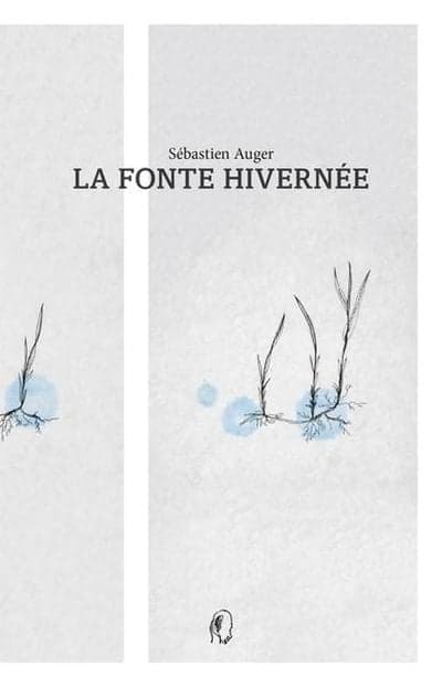 La fonte hivernée