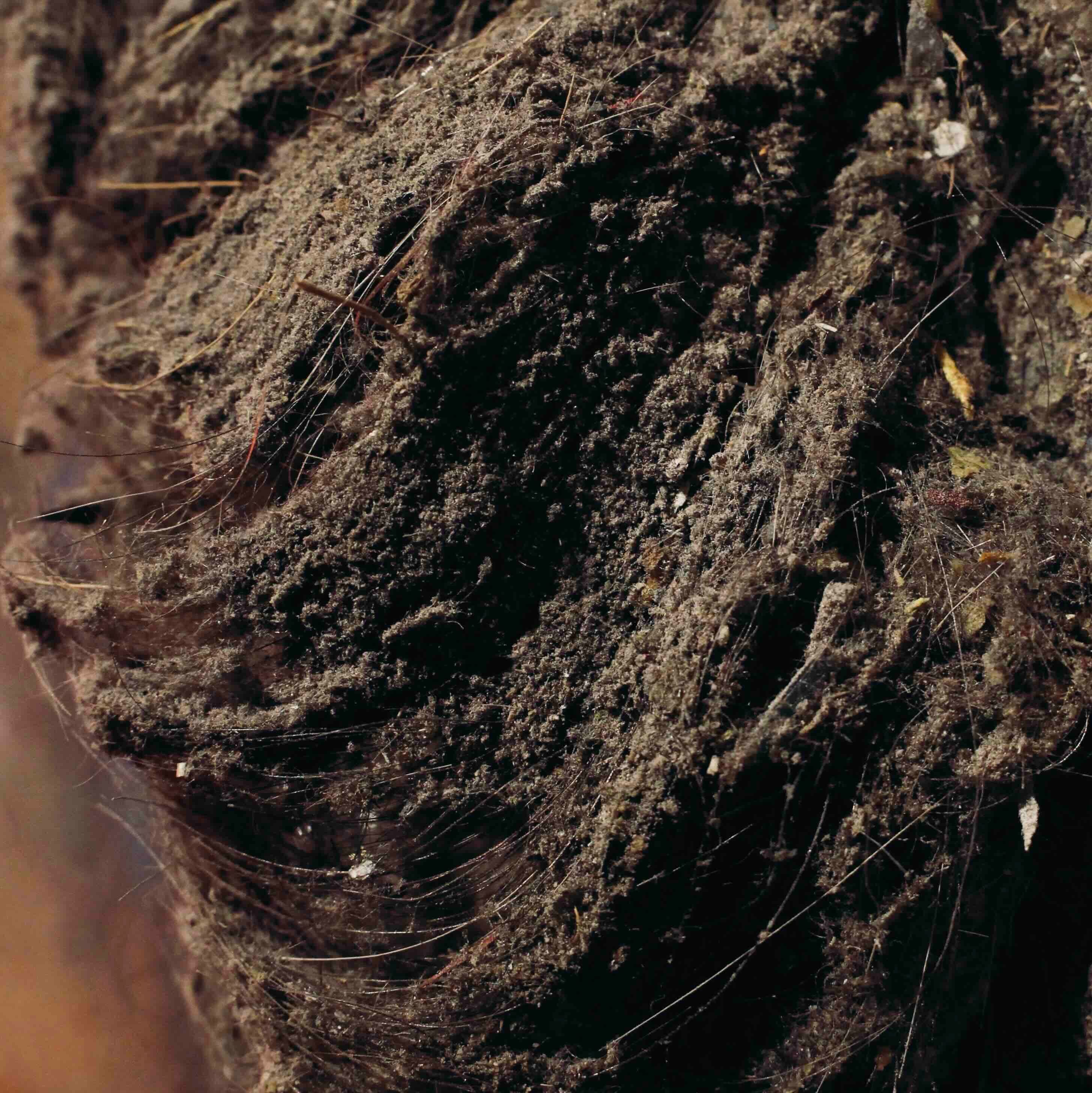 Théorie de la citation par le vide · Vacuum citation